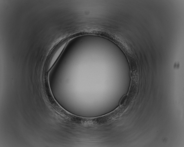 X0000089410587200707131803