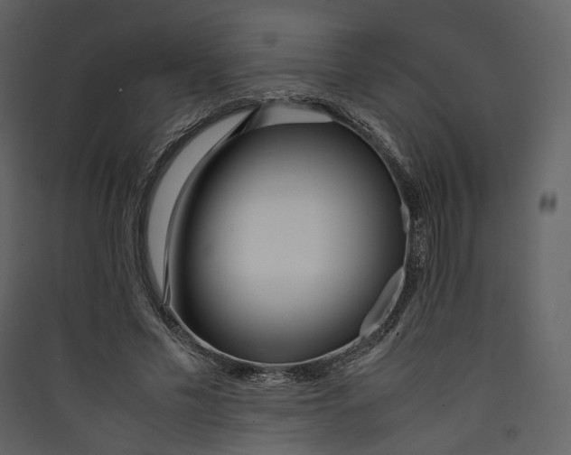 X0000089410589200707131803