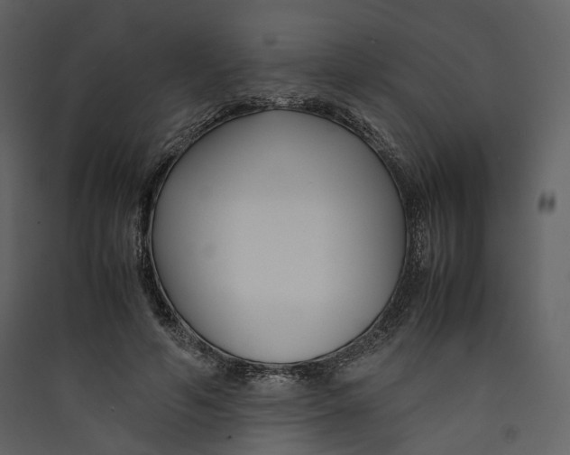 X0000089410594200707131802