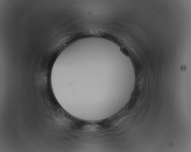 X0000089410595200707131802