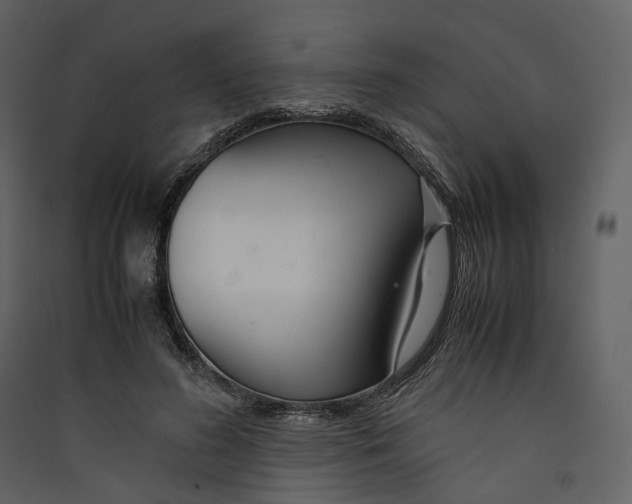 X0000089410596200707131802