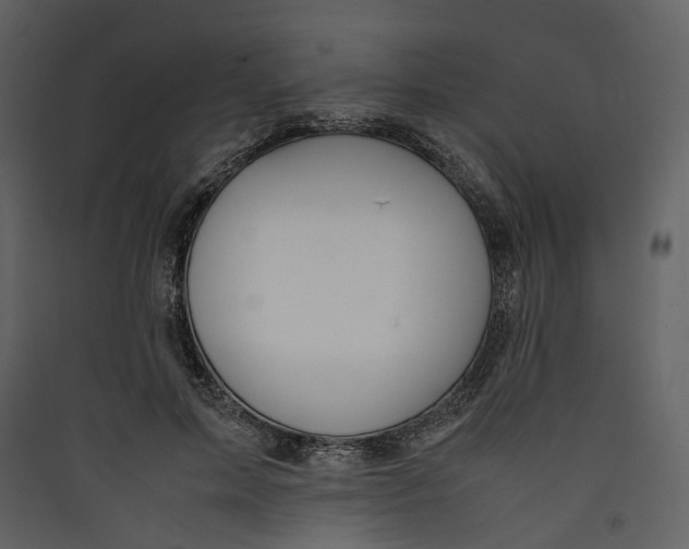 X0000089410599200707131802