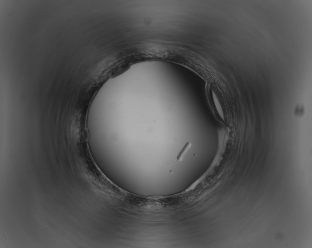 X0000089410600200707131802