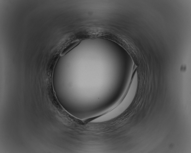 X0000089410601200707131802