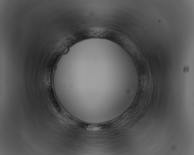 X0000089410602200707131802