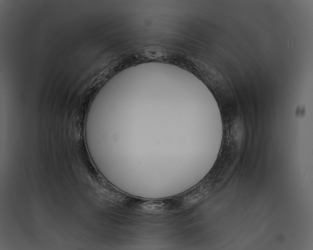 X0000089410606200707131802