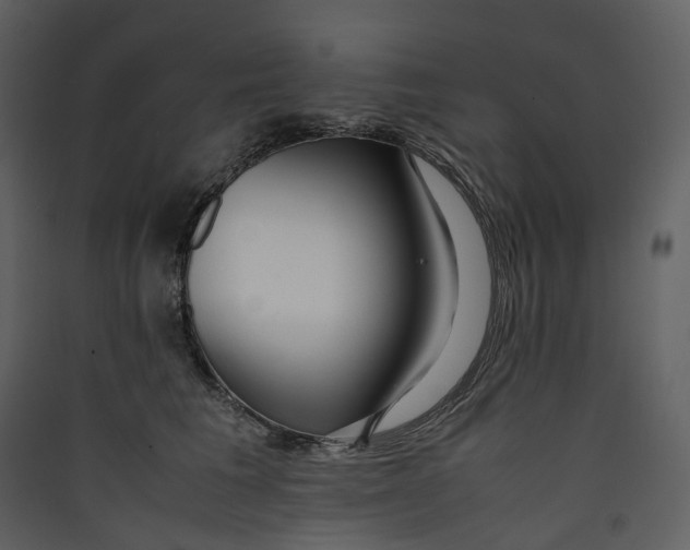 X0000089410613200707131802