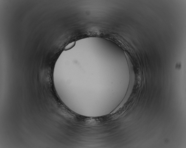 X0000089410616200707131802