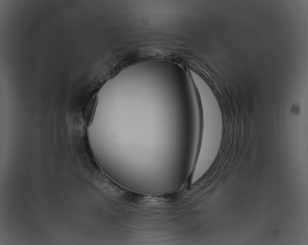 X0000089410617200707131802