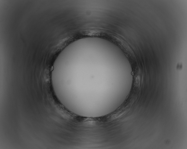 X0000089410620200707131802