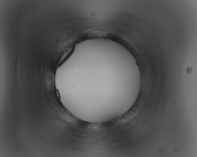 X0000089410624200707131802