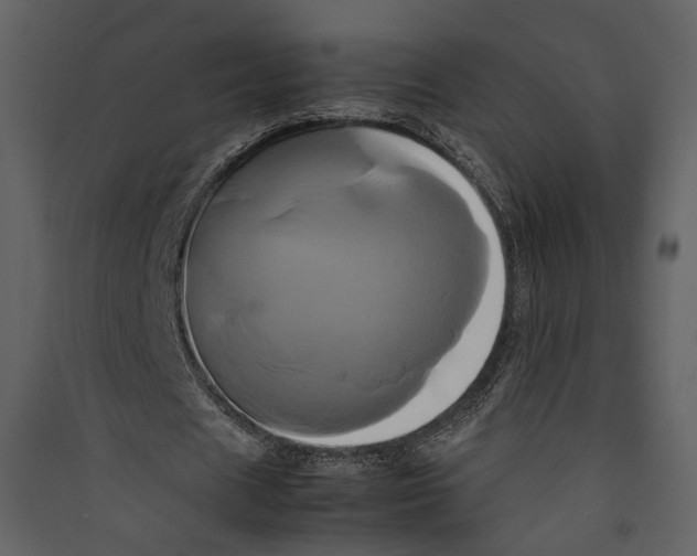 X0000089410625200707131801