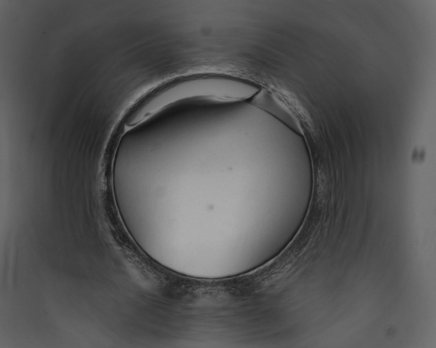 X0000089410628200707131801