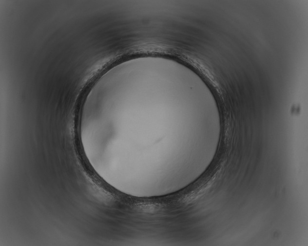 X0000089410629200707131801