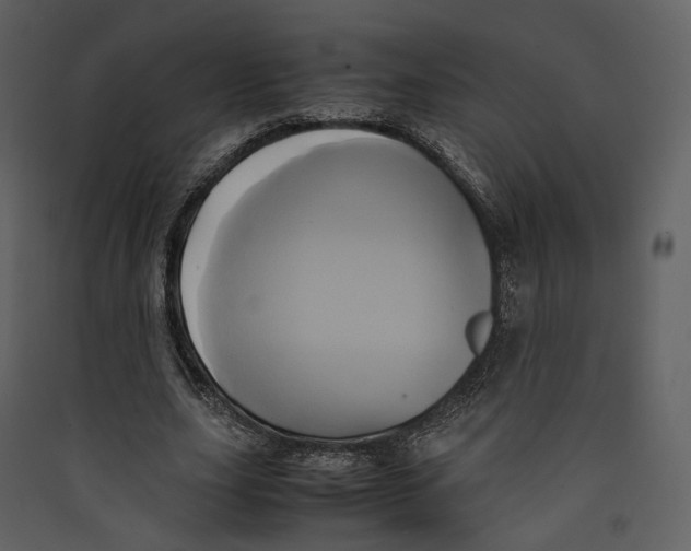 X0000089410631200707131801