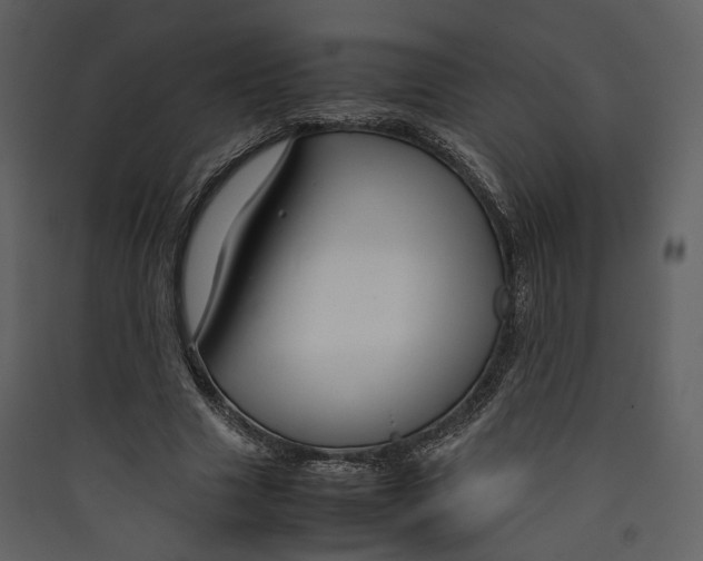 X0000089410633200707131801