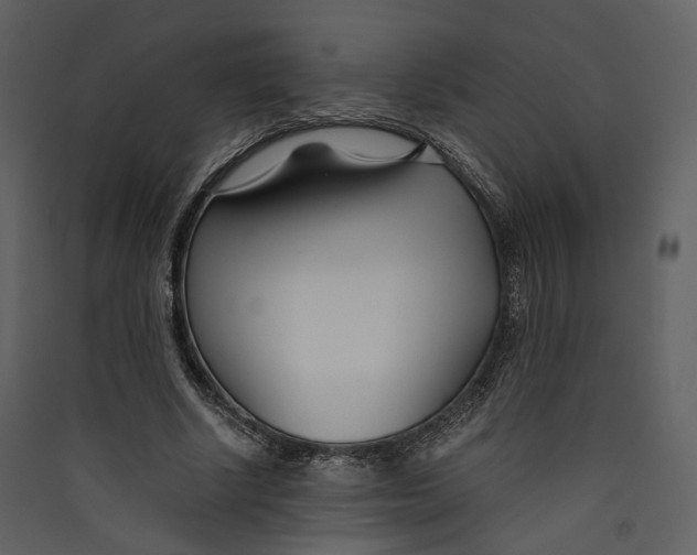 X0000089410634200707131801