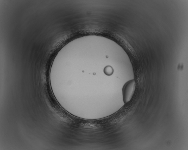 X0000089410635200707131801