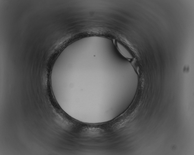 X0000089410637200707131801