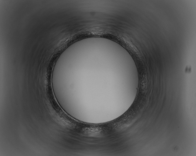 X0000089410639200707131802