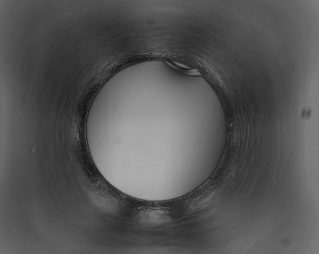 X0000089410643200707131802