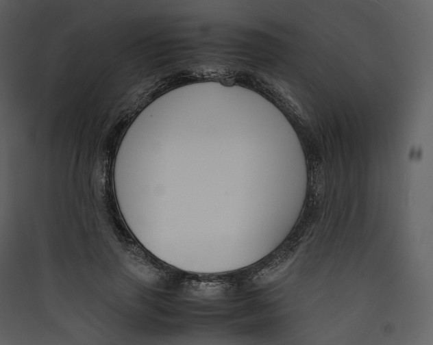 X0000089410645200707131802