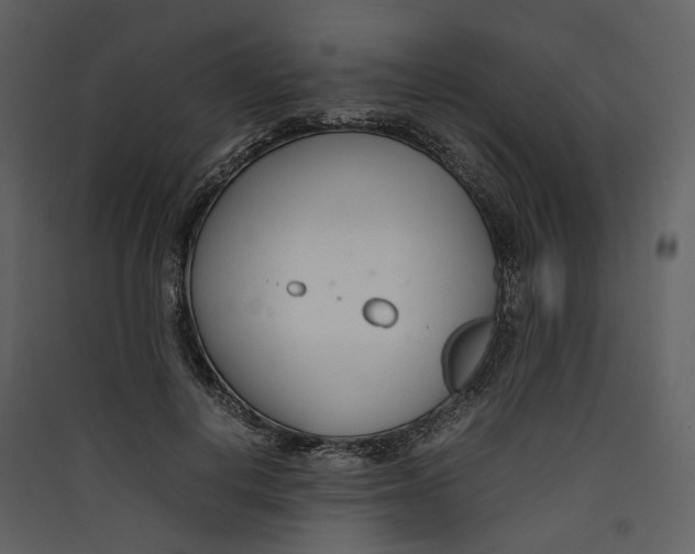 X0000089410648200707131802