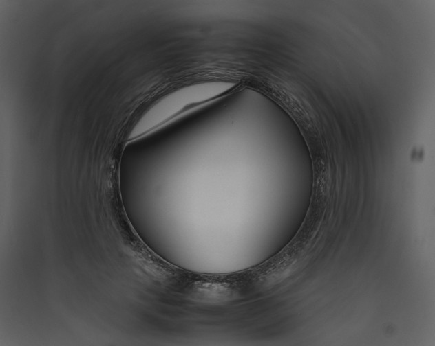 X0000089410649200707131802