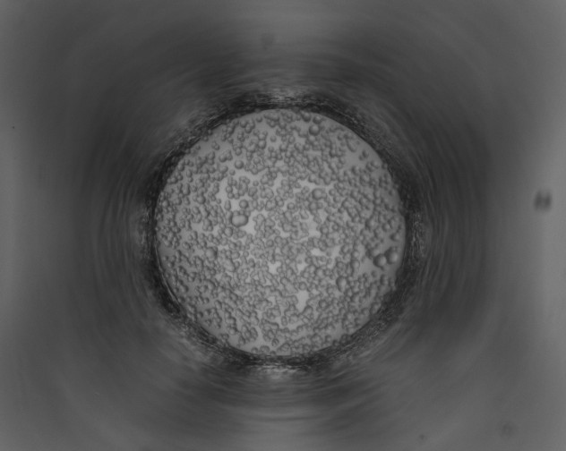 X0000089410650200707131802