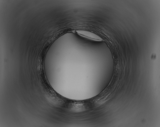X0000089410651200707131802