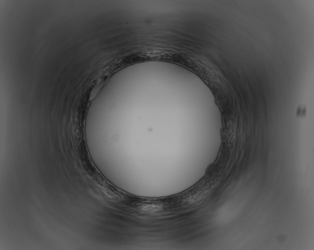X0000089410653200707131802