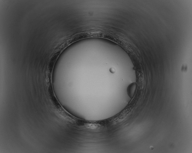 X0000089410654200707131802