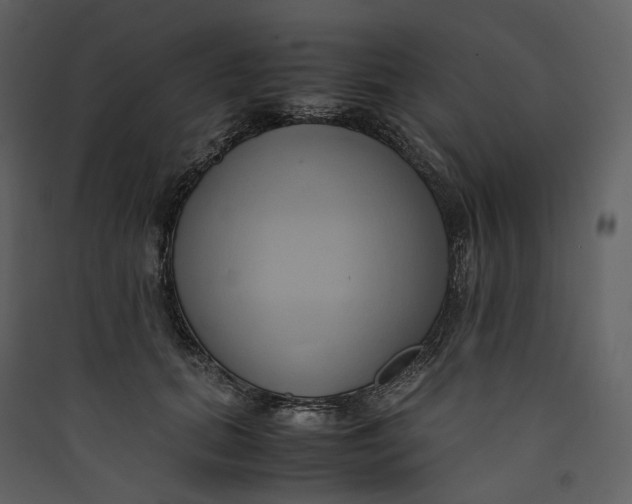 X0000089410655200707131802