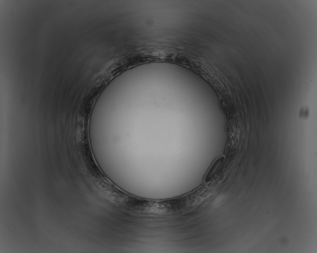 X0000089410656200707131802