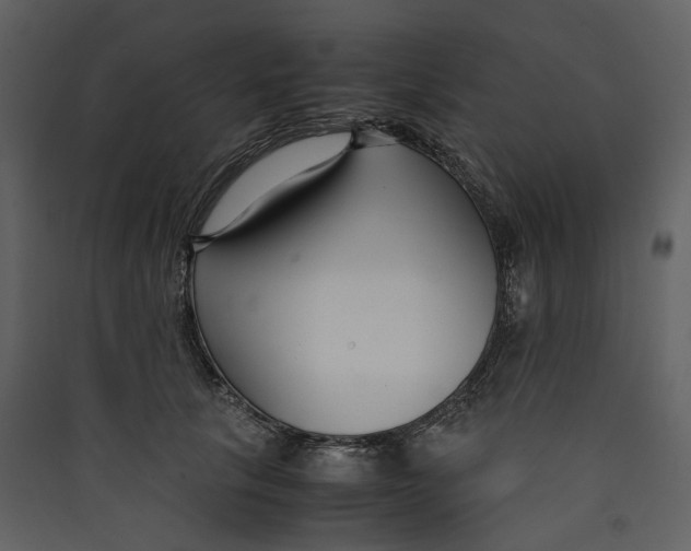 X0000089410657200707131802