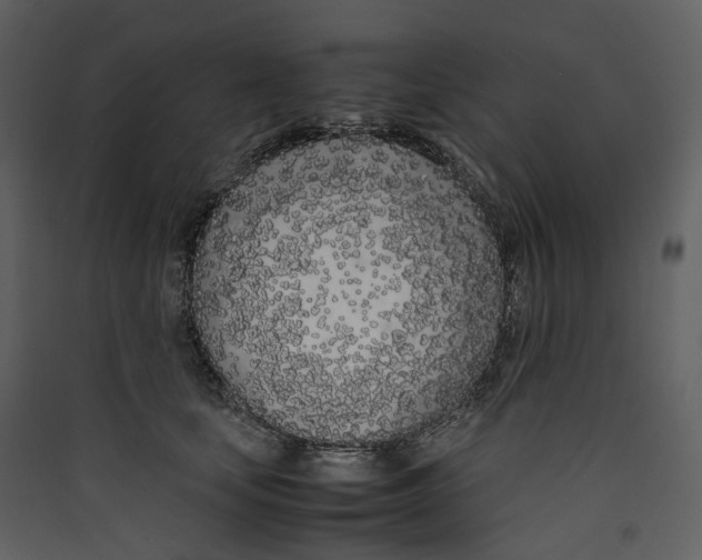 X0000089410659200707131802