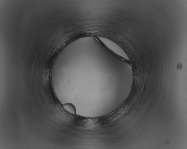 X0000089410660200707131802