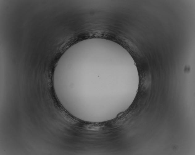 X0000089410661200707131802