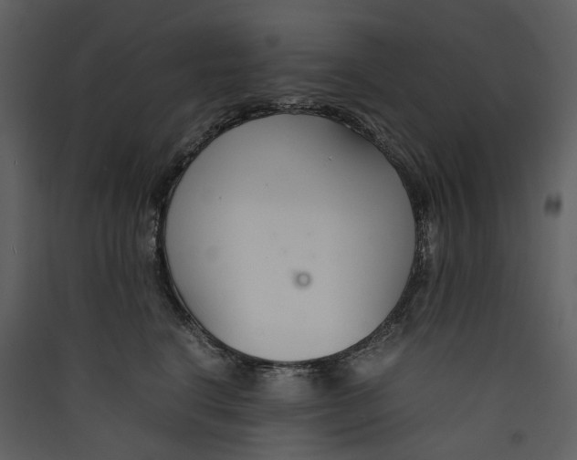 X0000089410664200707131802