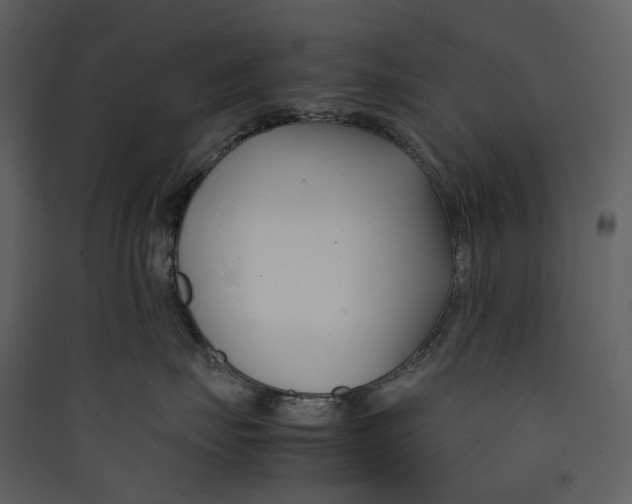 X0000089410671200707131802