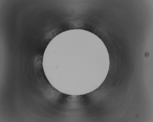 X0000089410672200707131802
