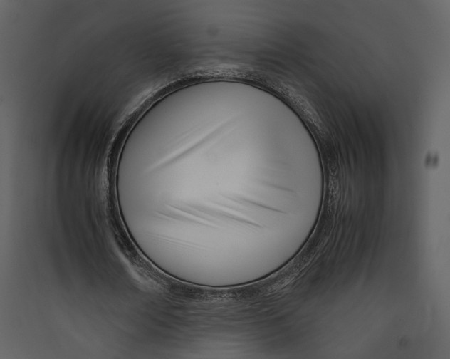 X0000089410674200707131801