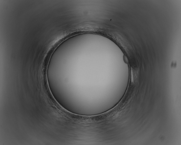 X0000089410675200707131801