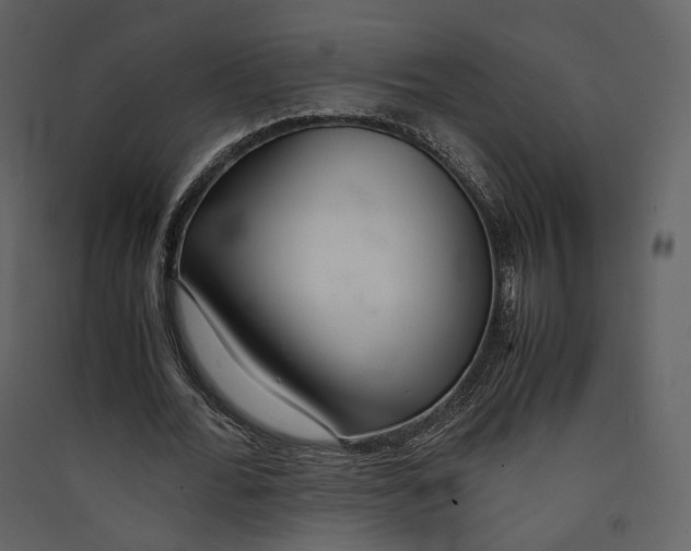 X0000089410676200707131801