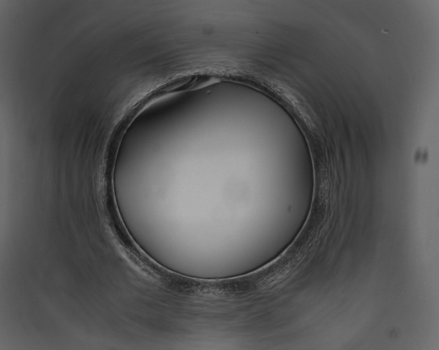 X0000089410677200707131801