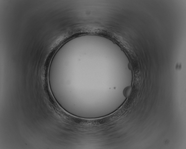 X0000089410679200707131801