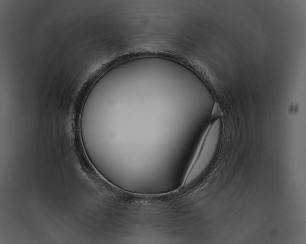 X0000089410680200707131801