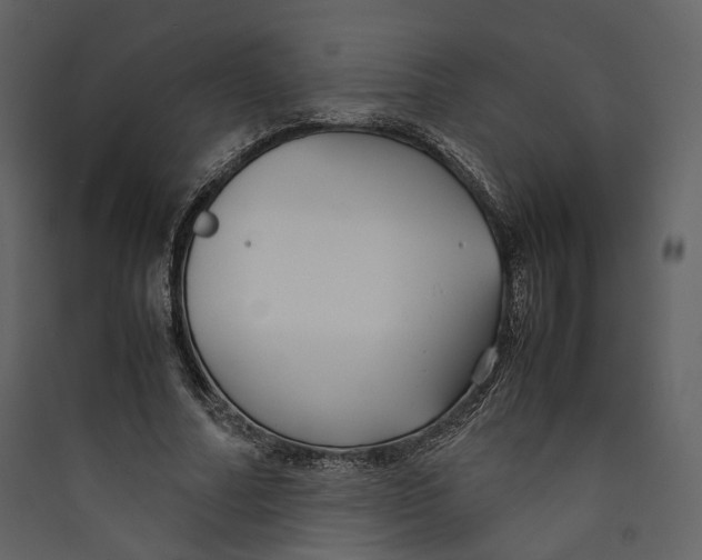X0000089410682200707131801