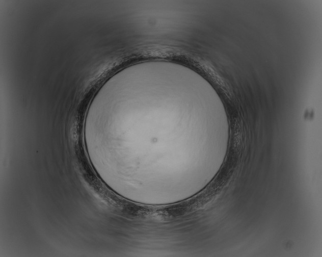 X0000089410683200707131801