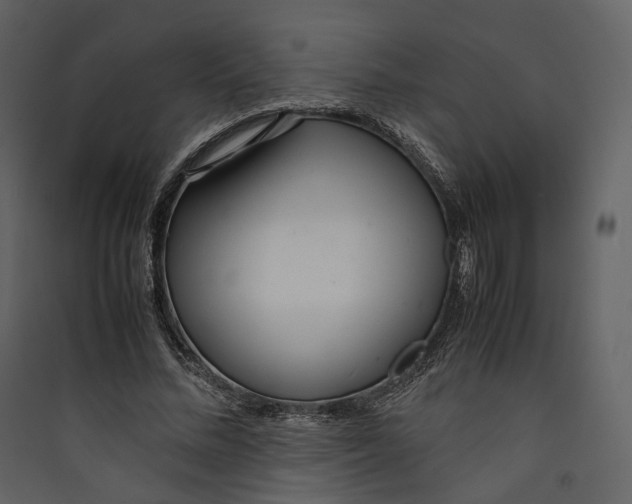X0000089410684200707131801